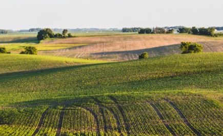 Commercial Land commercial real estate expertise